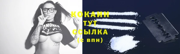 эйфоретик Ельня