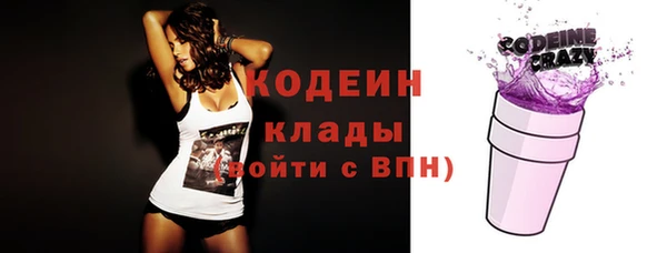 эйфоретик Ельня