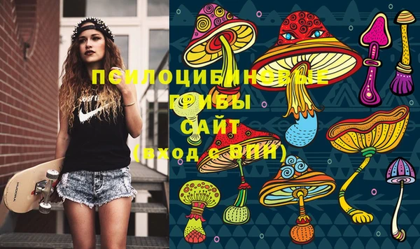 эйфоретик Ельня
