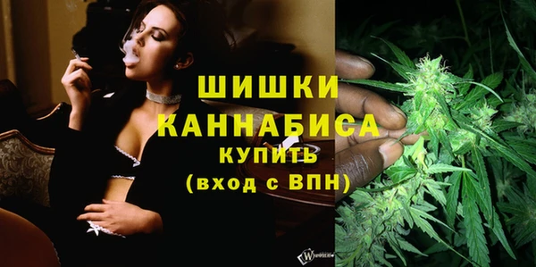 эйфоретик Ельня