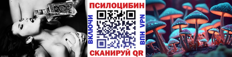Купить закладки  Гудермес  Псилоцибиновые грибы Psilocybe 